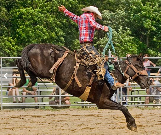 https://crescentcitytimes.com/wp-content/uploads/2014/07/Bronco-busting.png