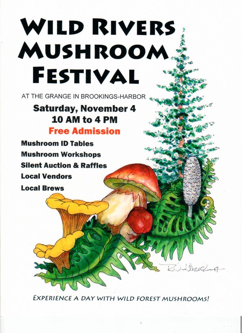 Mushroom Festival November 4th Crescent City