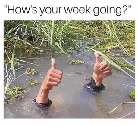 How’s your week going