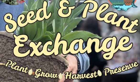 Seed exchange